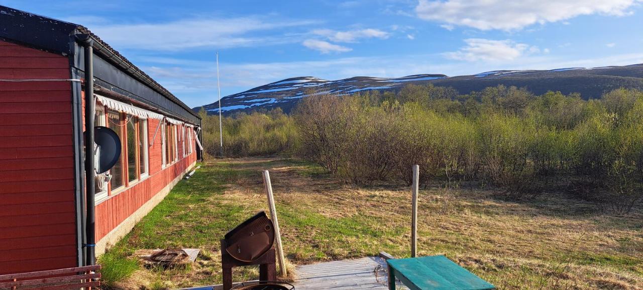 Austertanakrystallen By Pure Lifestyle Arctic Extérieur photo