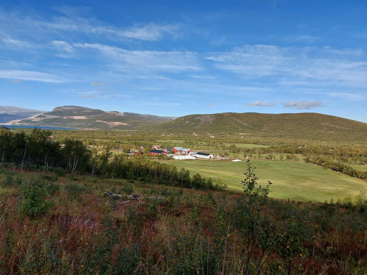 Austertanakrystallen By Pure Lifestyle Arctic Extérieur photo